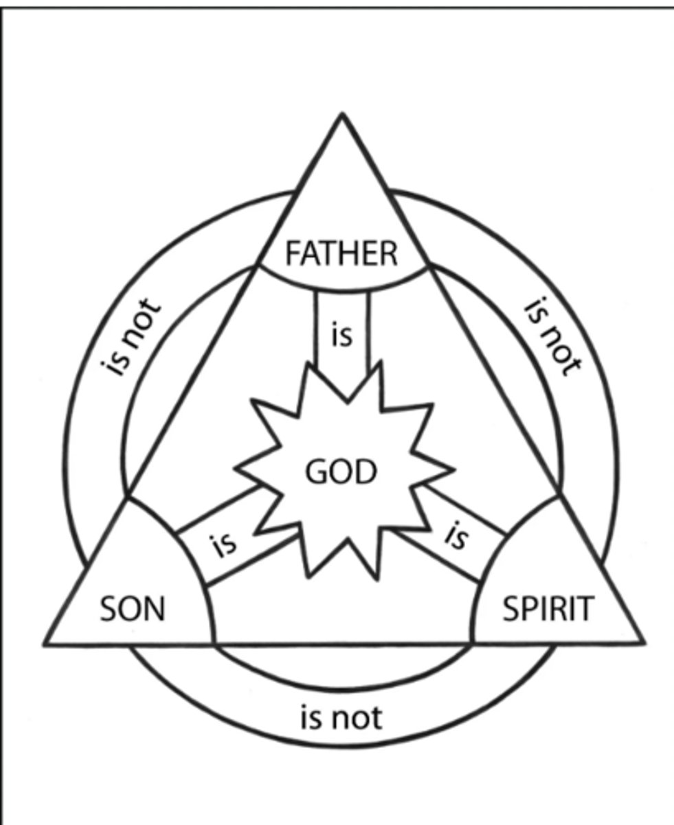 <p>The two main points the Trinitarian shield expresses in regards to the doctrine of the Trinity is that the doctrine of the Trinity teaches that God is both equal and distinct within Himself as Father, Son, and Holy Spirit. Each Person of the Trinity is equally and fully God, sharing the same divine nature. All three are involved in the common work of salvation. At the same time, the Father, Son, and Holy Spirit are distinct through their relationship to one another. The Father is the creator, the Son is the redeemer, and the Spirit is the sanctifier. The shield represents that they are equal yet distinct Persons, relating to the doctrine of the Trinity, which states that the Trinity is one God in three Persons.</p>
