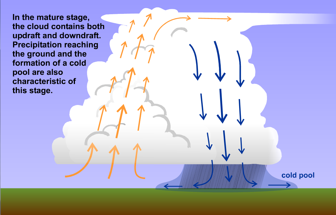 <p>Short-lived storm with distinct updraft, mature, and dissipating phases.</p>
