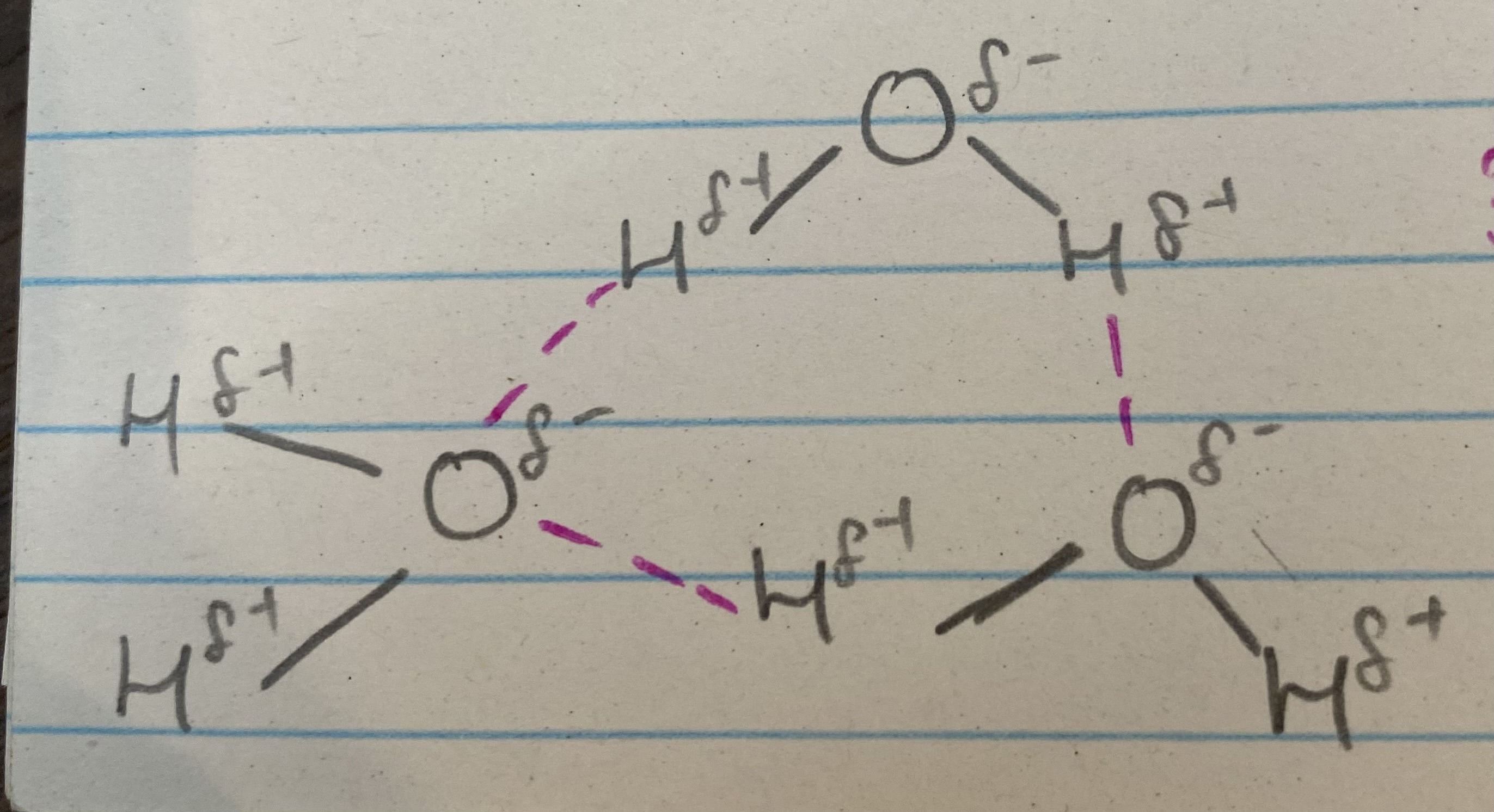 <p>What do the pink and grey lines represent?</p>