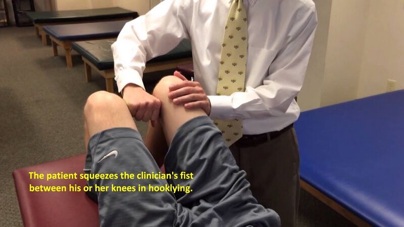 <p><span style="font-family: &quot;Aptos&quot;, sans-serif;">Position the model in supine with the hip abducted to 50 degrees. Use your own body to resist hip adduction.</span></p><p><span style="font-family: &quot;Aptos&quot;, sans-serif;">Alternatively, perform a squeeze test with the knees flexed and extended to demonstrate inner range adduction.</span></p>