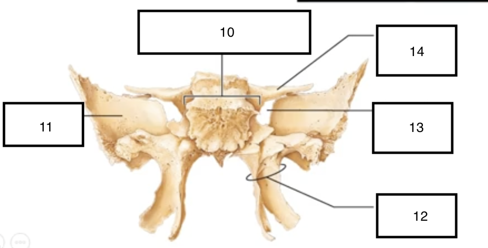 <p>14</p>