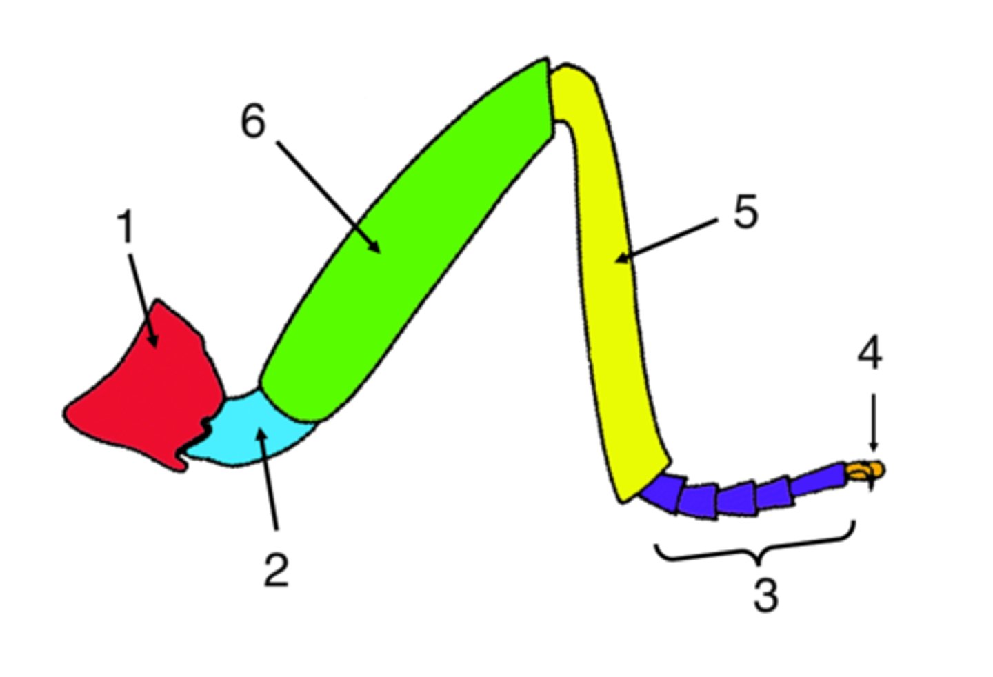 <p>2</p>