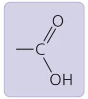 <p>acts as acid, can donate H+; carboxylic acid or organic acid</p>