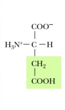 <p>Aspartate</p>