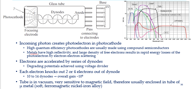 <ul><li><p>Photocathode has very low work function. </p></li><li><p>Doesnt have 100% efficiency => can’t measure single photones.</p></li><li><p>Dynodes amplify the number of electrons so get a big signal</p><ul><li><p>Must be in a vacuum</p></li><li><p>Do not work well in a magnetic field => wrap in soft iron. Magnetic field would deflect electrons so don’t reach dynodes.</p></li></ul></li></ul><p></p>
