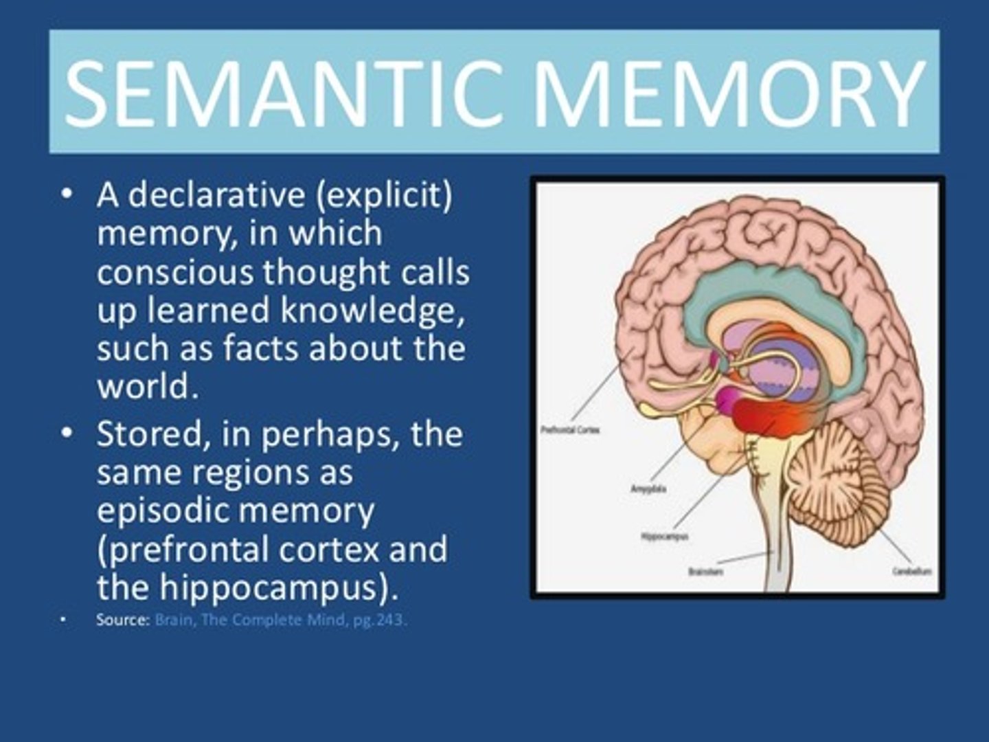 <p>(B) Semantic Memory</p>
