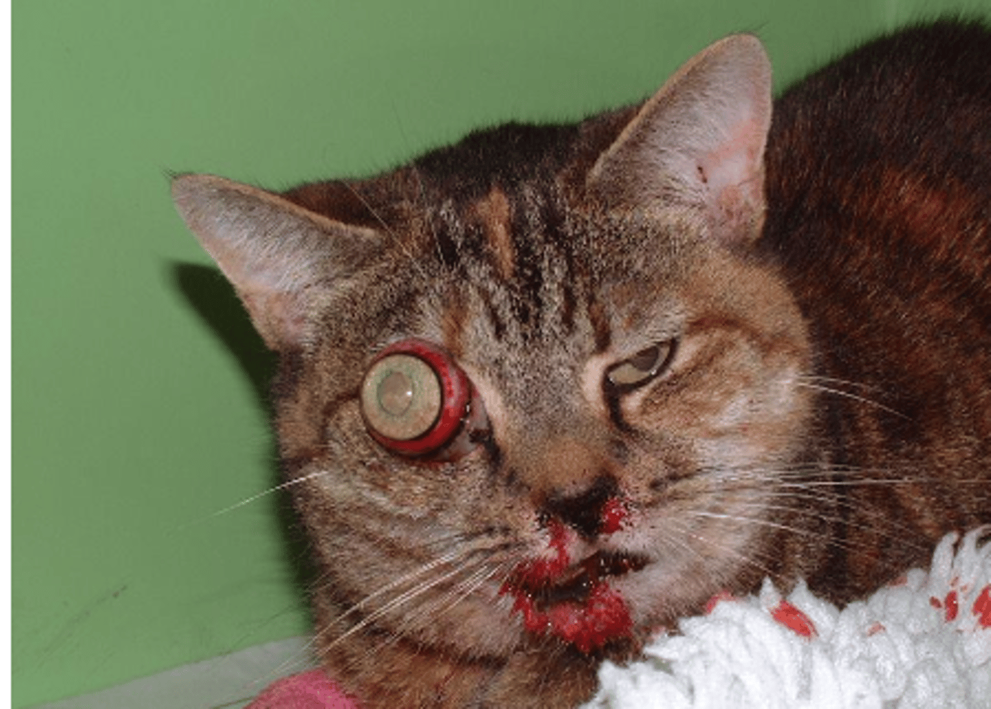 <p>what is this called?</p>