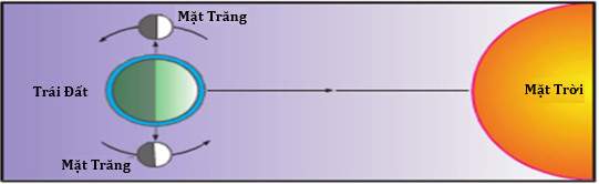 <p>Thủy triều lên xuống với biên độ thay đổi theo<span style="color: purple;"> không gian</span> và <mark data-color="blue" style="background-color: blue; color: inherit;">thời gian</mark></p><ul><li><p>Mặt Trăng/ Mặt Trời/ Trái Đất thẳng hàng → triều cường (biên độ nước dâng lớn)</p></li><li><p>Mặt Trăng/ Mặt Trời/ Trái đất nằm trên hai đường vuông góc → triều kém (biên độ nước dâng nhỏ)</p></li></ul><p></p>