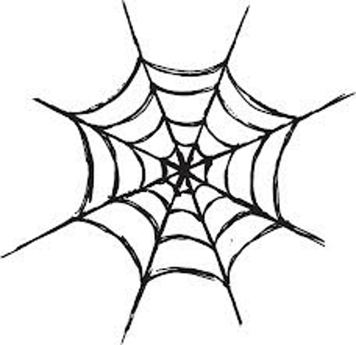 <p>spider web, cobweb</p>