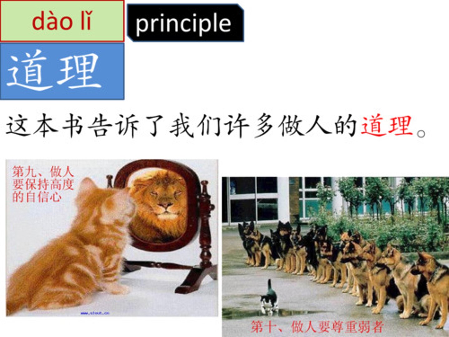 <p>dàolǐ đạo lý, lẽ phải 你說的很有道理。 (Nǐ shuō de hěn yǒu dàolǐ.) - Bạn nói rất có lý.</p>