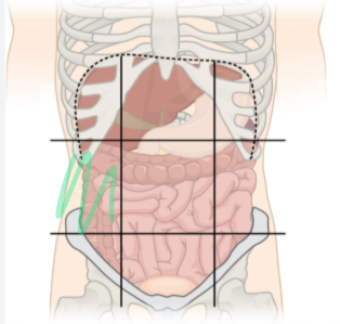 <p>what is the region shaded called?</p>
