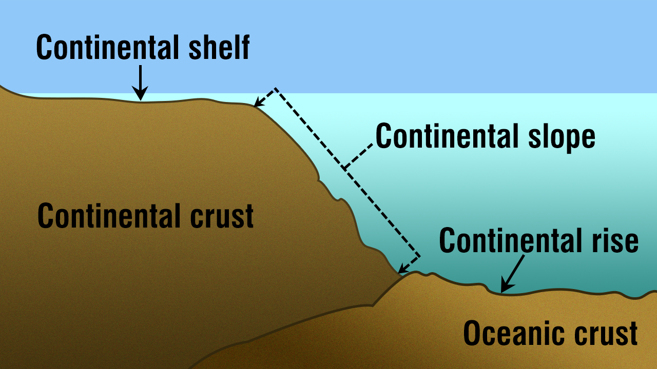 Where ocean basins begin 

* Steep topography (\~4°)

May contain canyons

* Ex: Monterey Canyon