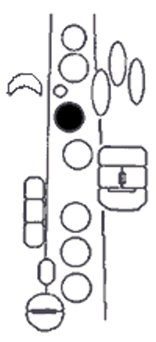 knowt flashcard image