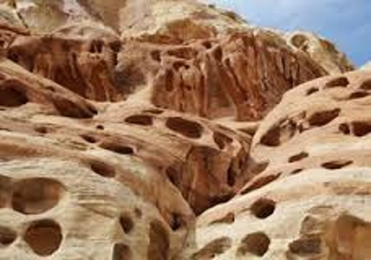 <p>hole in limestone caused by uprooting trees during storms and natural erosion</p>