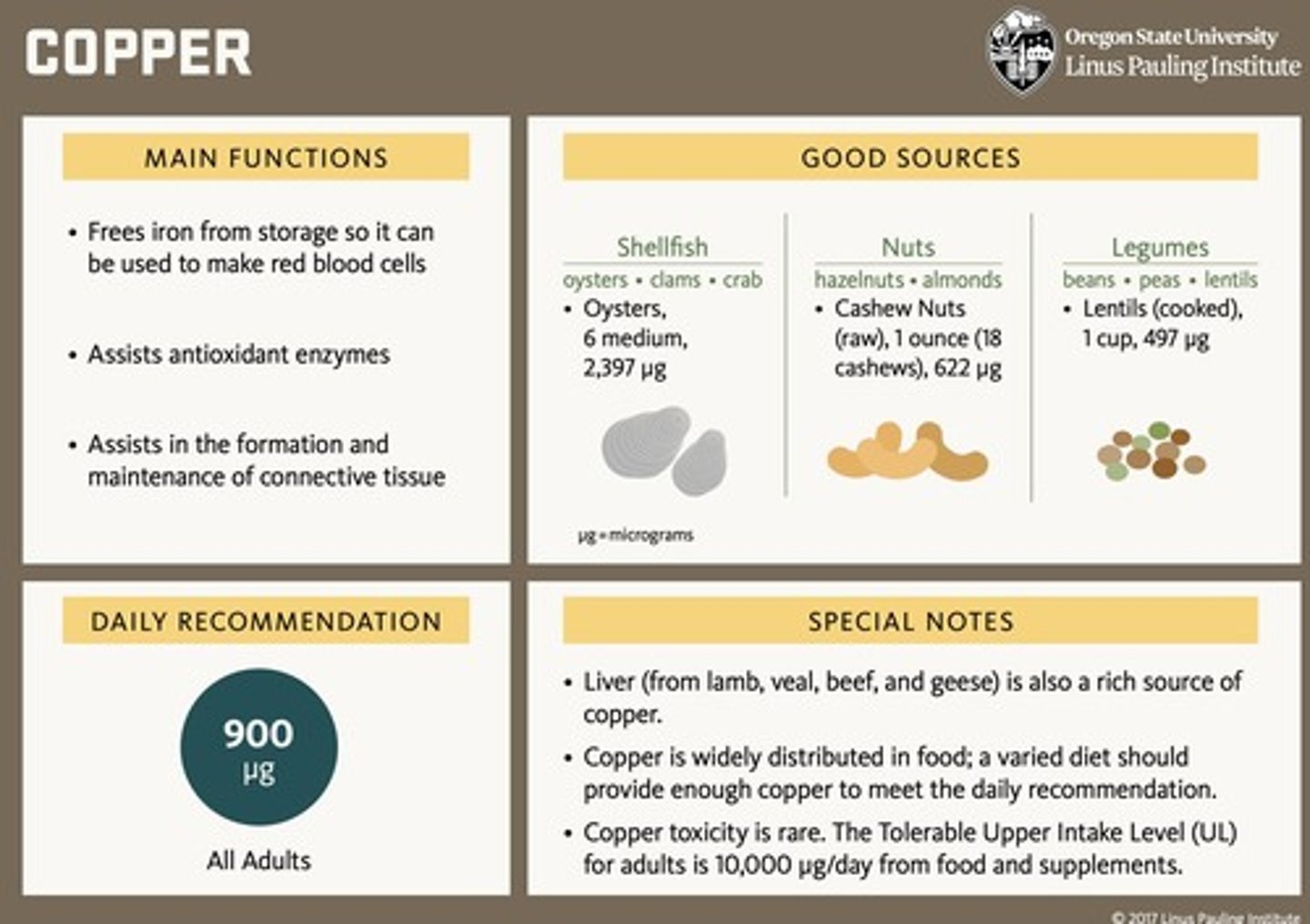 <p>900 µg per day for adults.</p>