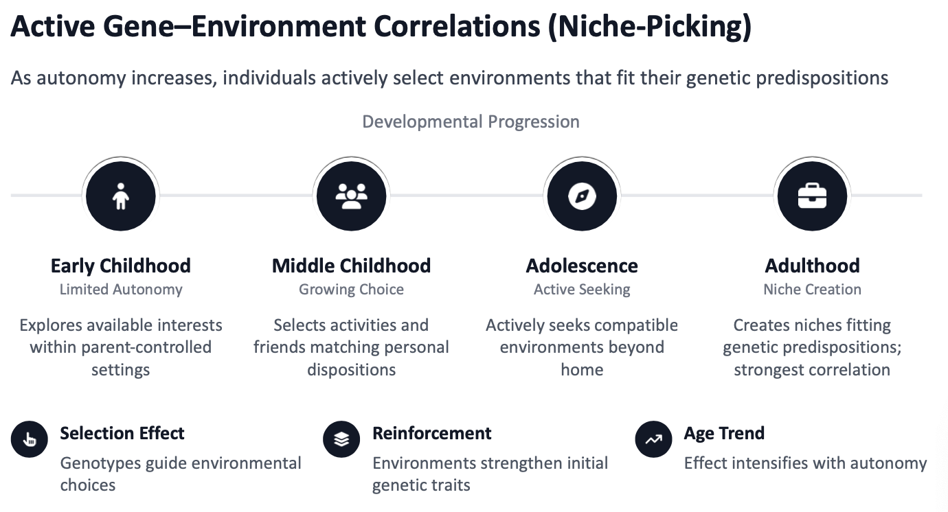 <ol><li><p>Situation where parents provide genes and environments that match those genes.</p><ol><li><p>Athletic parents passing athletic genes and creating a sports-oriented family culture (reinforces genetic predispositions => ice-hockey Hughes family)</p></li></ol></li><li><p>When a person’s genetically influenced traits (personality) elicit specific responses from others in their environment.</p><ol><li><p>A sociable infant receives more social engagement, is likeable and treated more positively</p></li></ol></li><li><p>The process where individuals actively search for environments that suit their genetic predispositions.</p><ol><li><p>Early childhood</p></li><li><p>Middle childhood (growing choice - select activities and friends)</p></li><li><p>Adolescence (active seeking - compatible enviro. beyond home)</p></li><li><p>Adulthood (niche - niches fitting genetic predispositions)</p></li></ol></li></ol><p></p>