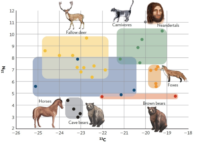<ol><li><p>Abundance of processed faunal remains</p></li><li><p>Bone chemistry/stable isotope analysis</p></li><li><p>Tooth plaque</p></li></ol><p></p>