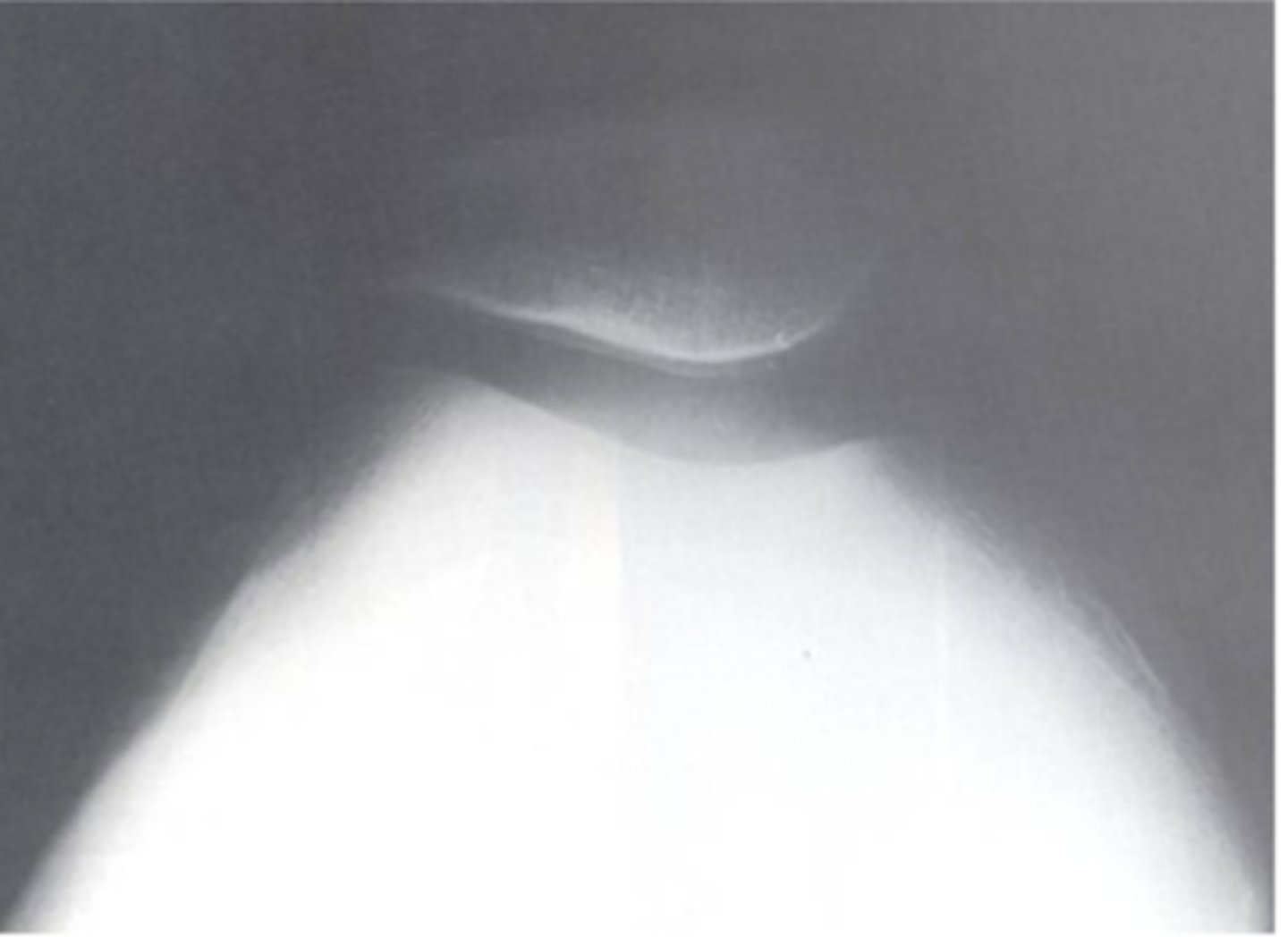 <p>What view does this show?</p>