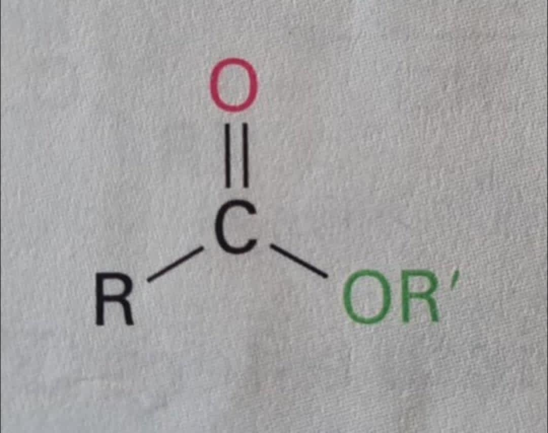 <p>Hvordan omdannes ester til primær alkohol?</p>