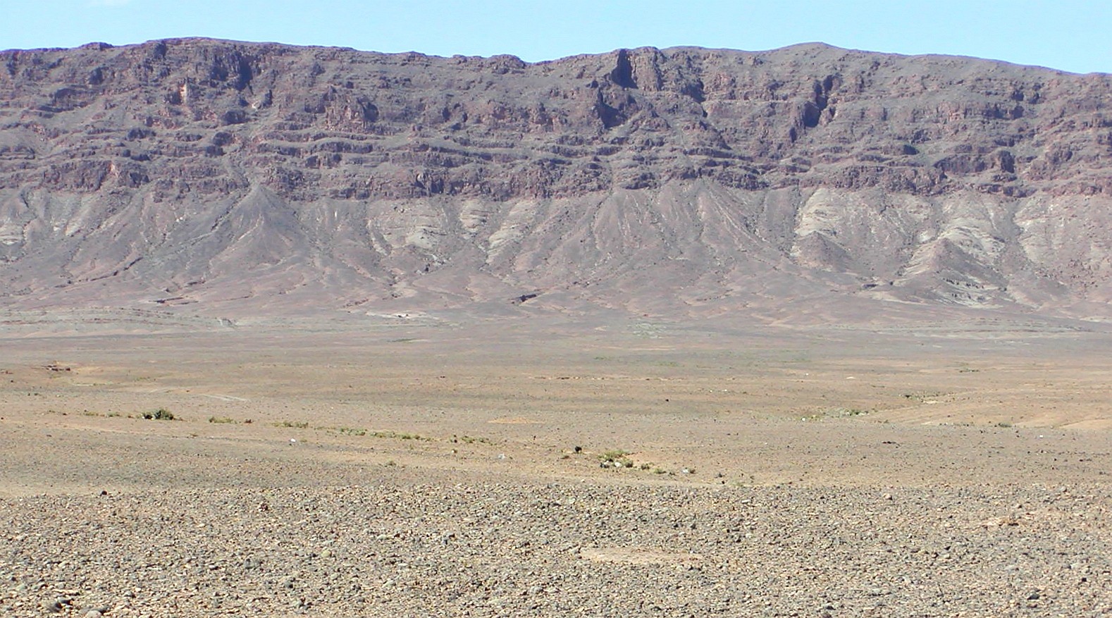 <p>najpogostejša oblika puščave z gruščnatim povšjem in monim procesom deflacije</p><p></p><p>npr. Atakama, Dolina smrti,…</p>