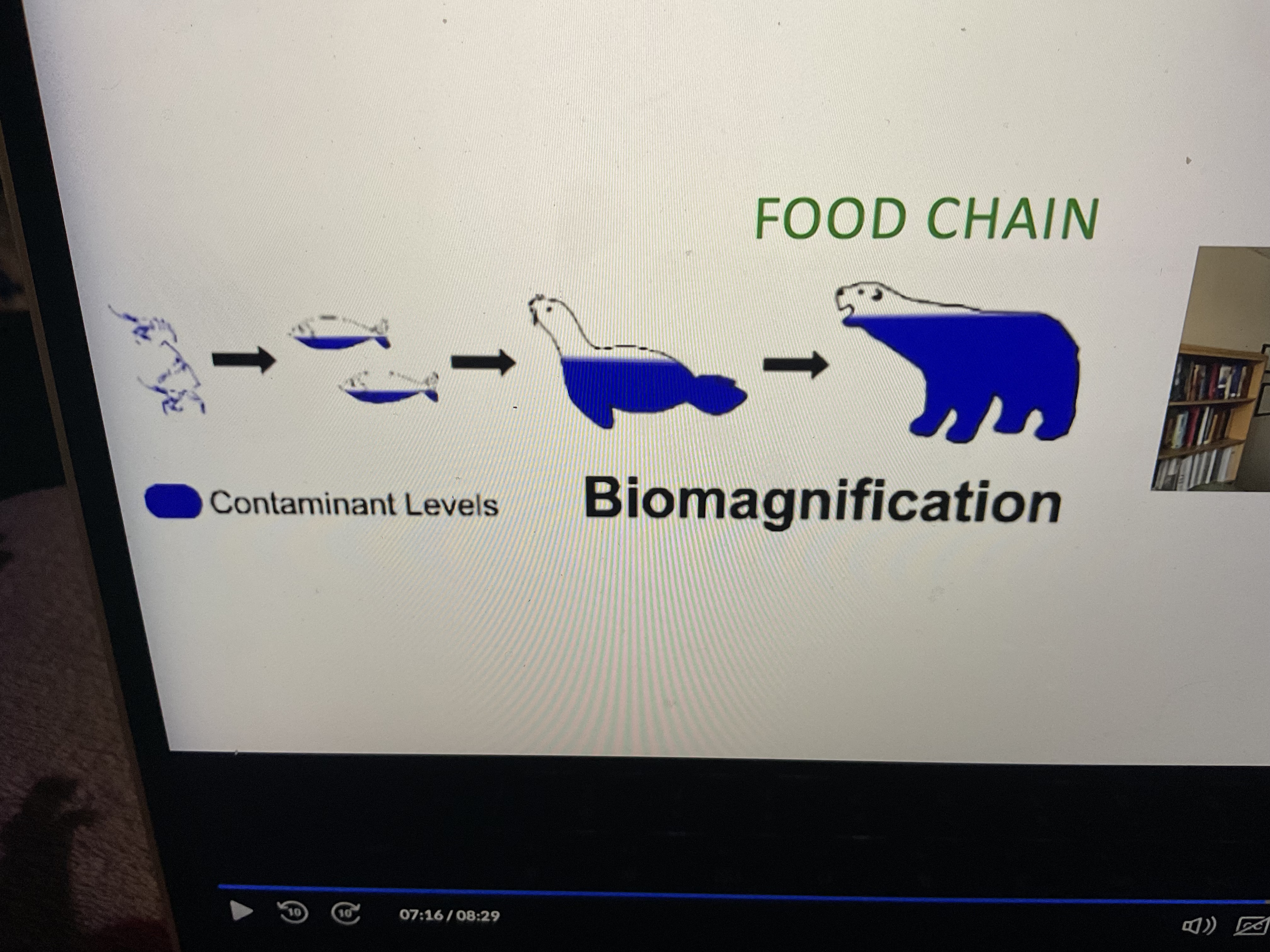 <p>Up the food chain</p>