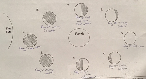 knowt flashcard image