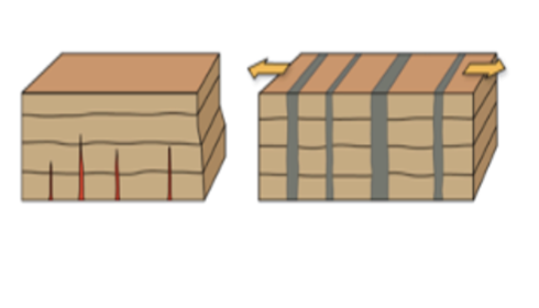 <p>a vertical tabular intrusion </p>