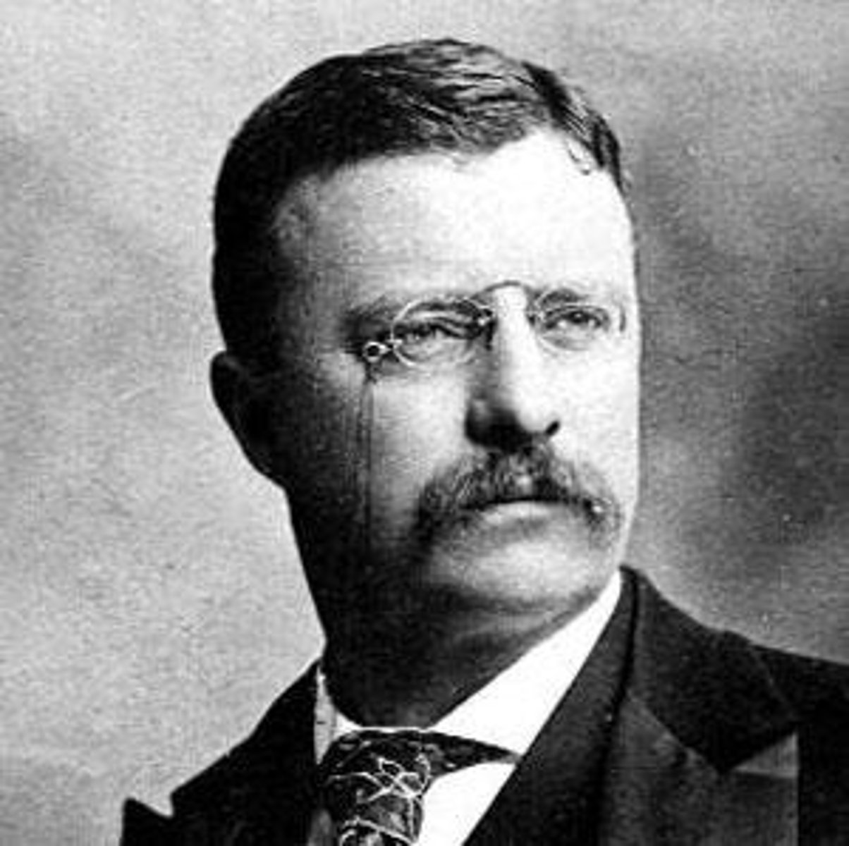 <p>During his presidency (1901- 1909), he was considered a Progressive President, because he broke up monopolies/trusts and created national parks to protect the environment.</p>