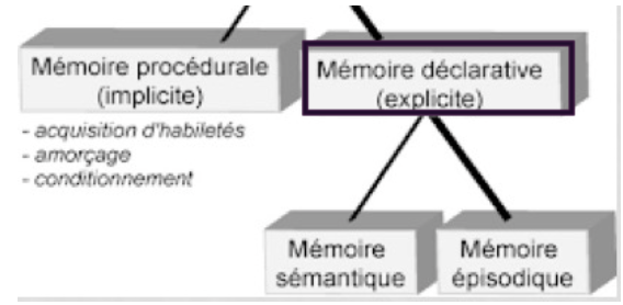 <p>→ forme de mémoire dont les connaissances font l’objet d’un effort conscient afin d’être rappelées </p>