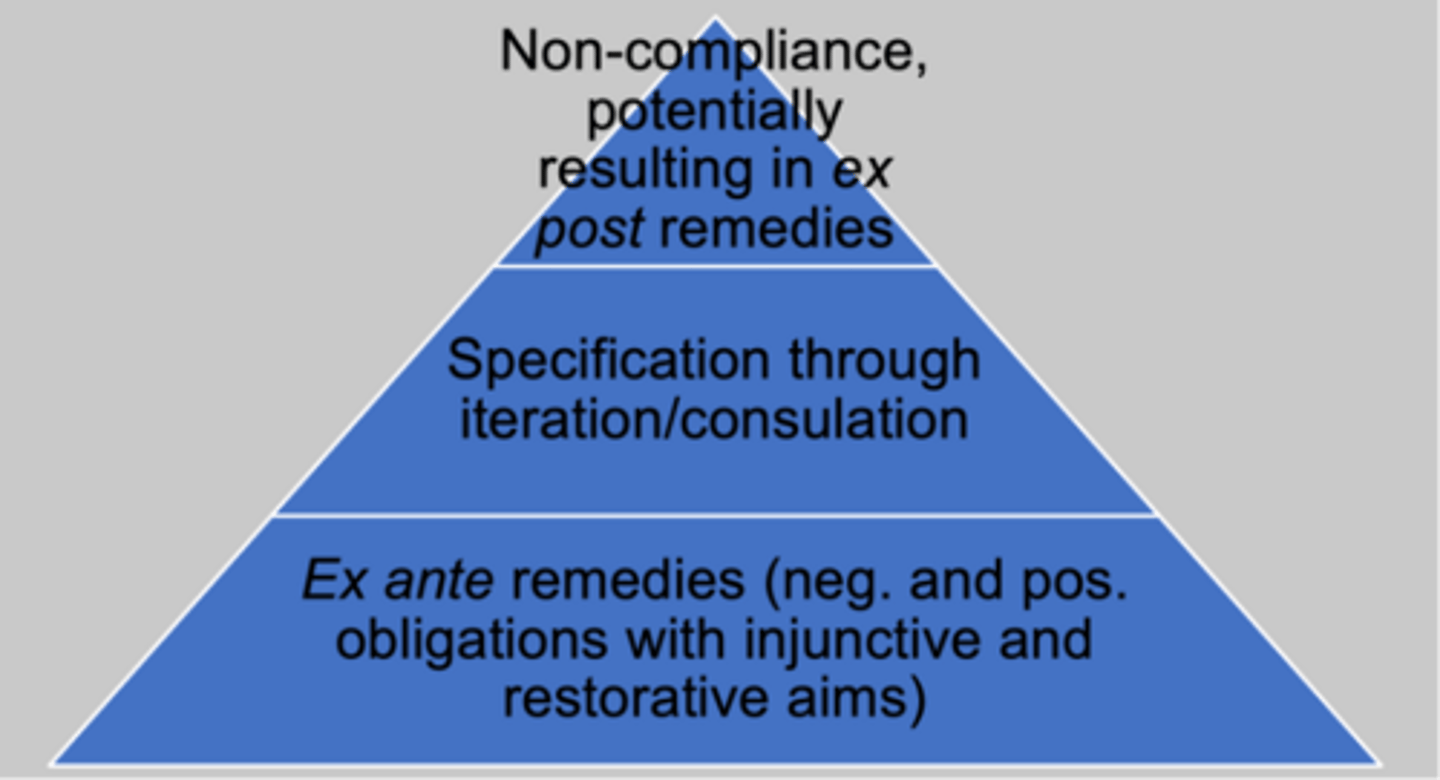 <p>Ex post remdies: but very last resort. </p><p>Specification: commission helps gatekeeper further understand what is needed to comply with DMA (cooperative regulation)</p><p>Ex ante remedies: provisions in art. 5, 6, 7 DMA</p>