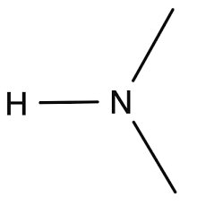 <p>Nitrogen atom with one or more carbon groups </p>