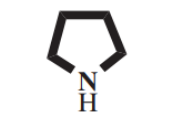 <p>5-membered nitrogen-containing ring</p>