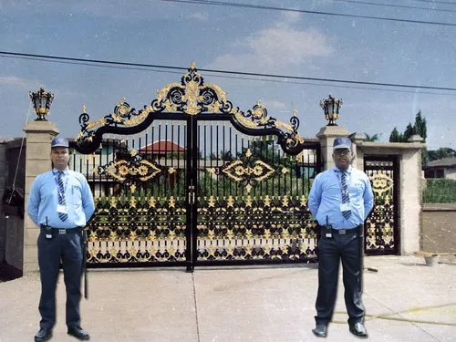 term image