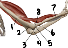 <p>Label 4</p>