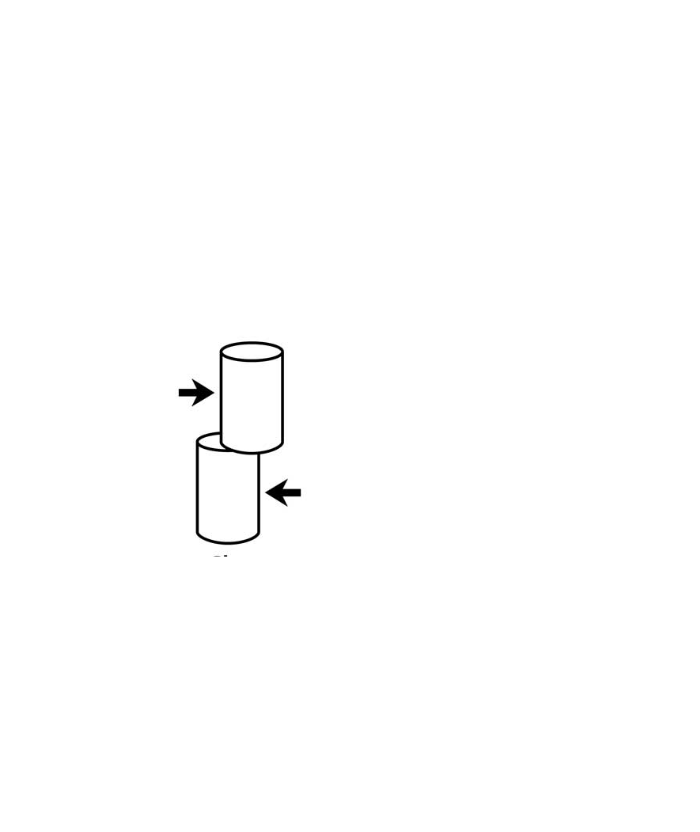 <p>Shear</p>