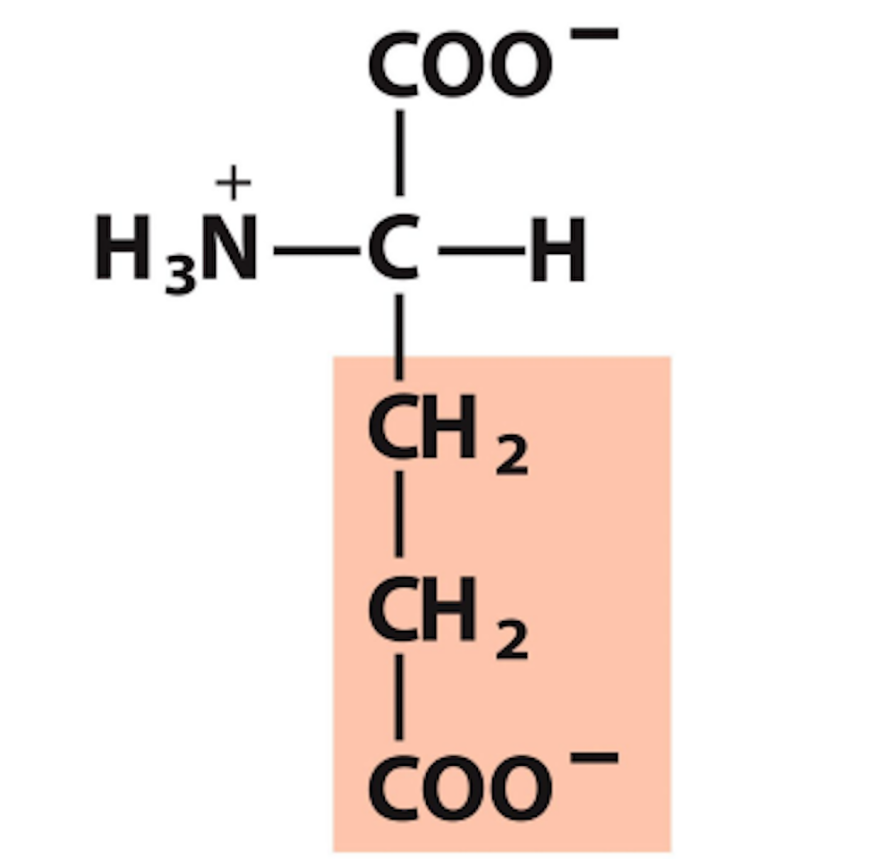<p>Negative, pKa 4.25</p>