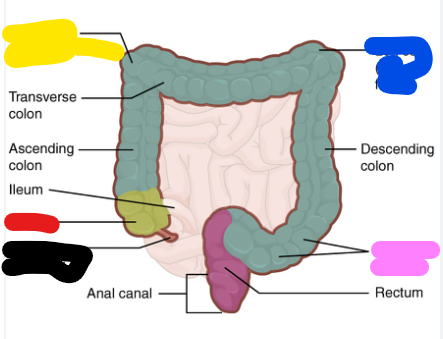 <p>What is yellow?</p>