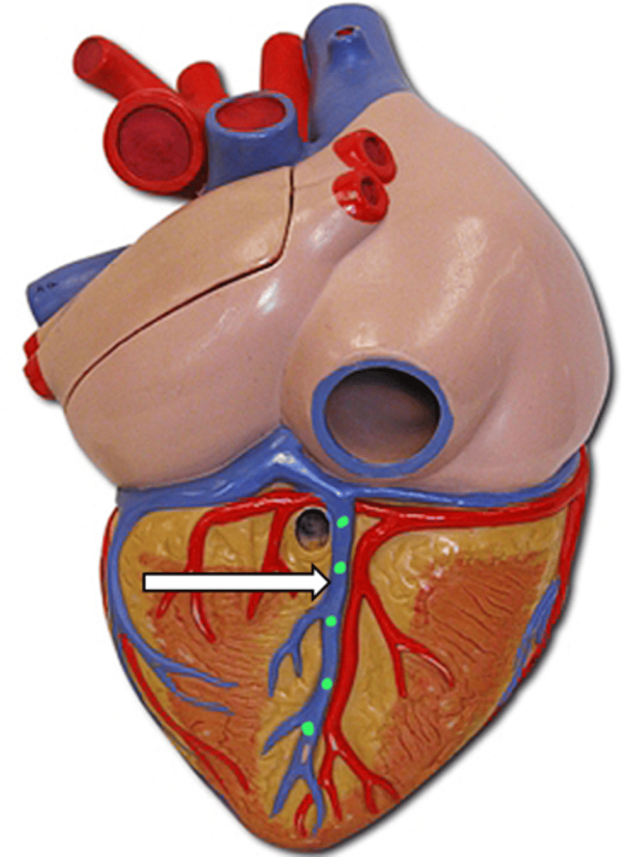 <p>name the structure</p>