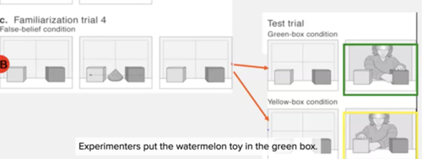 <p>violation of expectation when experimenter comes back and looks in yellow box where watermelon magically moved to from the green box whilst they were absent...how did they know to look there? </p>