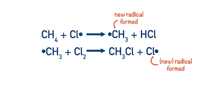 <ul><li><p>In the first propagation step, a chlorine free radical reacts with methane, removing a hydrogen atom from methane. This gives hydrochloric acid and a methyl free radical.</p></li></ul><p>Cl· + CH4 → CH3· + HCl</p><p></p><ul><li><p>In the second propagation step, the methyl free radical reacts with chlorine gas (Cl2). One of the chlorine atoms becomes a free radical, and the other combines with the methyl free radical to form the alkyl halide (chloromethane) product.</p></li></ul><p>CH3· + Cl2 → CH3Cl + Cl·</p>