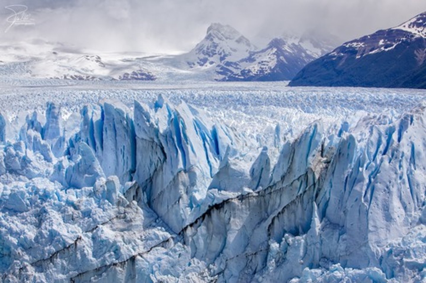 <p>polar region</p>