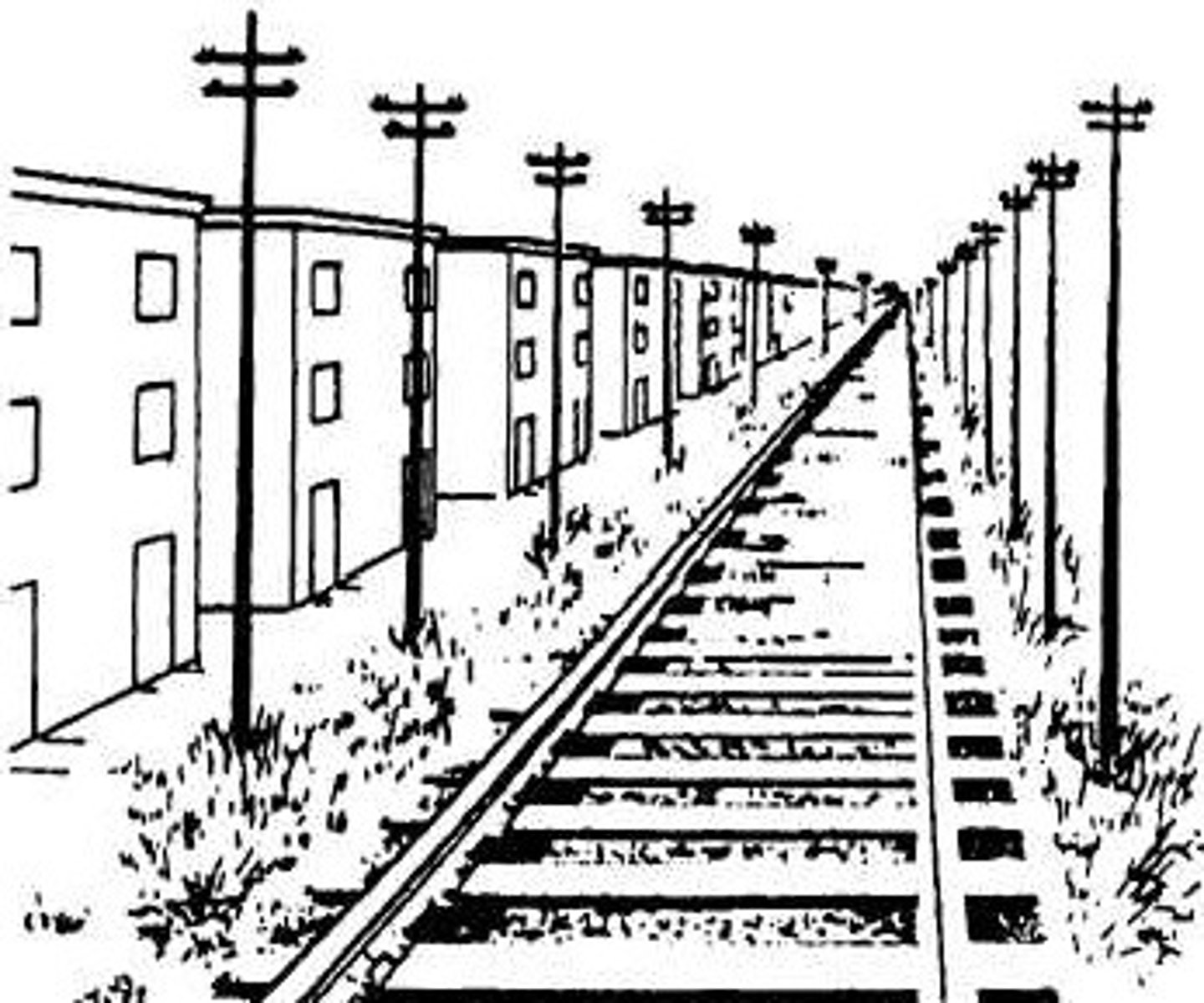 <p>perspective</p>