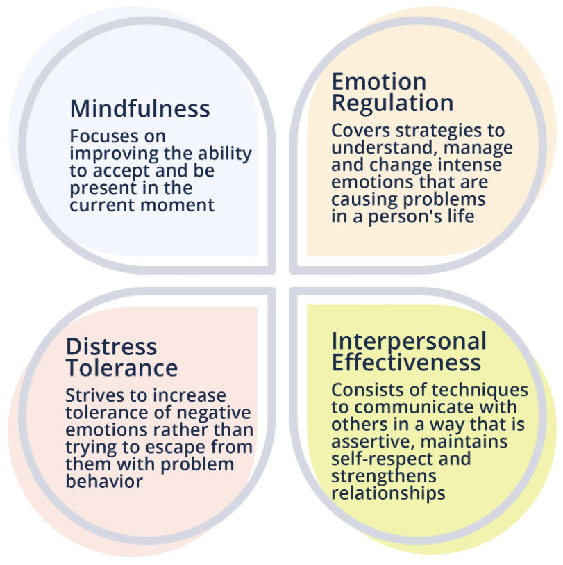 <ul><li><p><strong>Mindfulness:</strong></p><p>This pillar emphasizes being fully present and aware of the current moment without judgment. It's about observing thoughts and feelings as they arise, without getting carried away by them.&nbsp;</p></li><li><p><strong>Distress Tolerance:</strong></p><p>This skill set focuses on coping with intense emotions and painful situations without making them worse through impulsive or destructive behaviors. It involves learning to tolerate and accept difficult moments.&nbsp;</p></li><li><p><strong>Emotion Regulation:</strong></p><p>This pillar teaches individuals how to identify, understand, and manage their emotions effectively. It includes strategies for changing unwanted emotions and increasing positive emotional experiences.&nbsp;</p></li><li><p><strong>Interpersonal Effectiveness:</strong></p><p>This module focuses on improving communication and relationship skills. It teaches individuals how to express their needs and boundaries effectively, while also maintaining respect for themselves and others.&nbsp;</p></li></ul>
