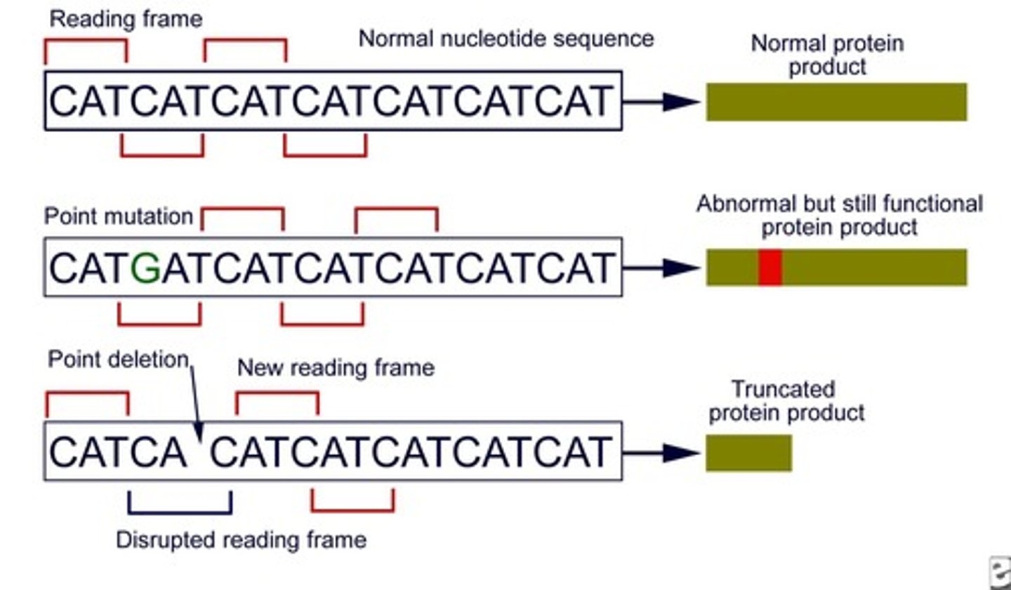 <p>If the number deleted is not a multiple of 3, a frameshift occurs, potentially altering protein structure.</p>