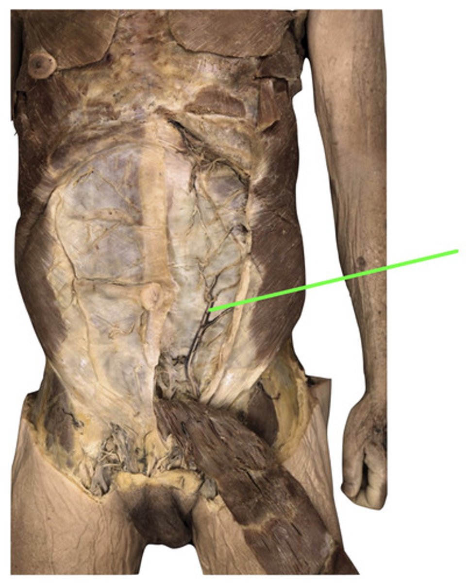 <p>What is this?</p>