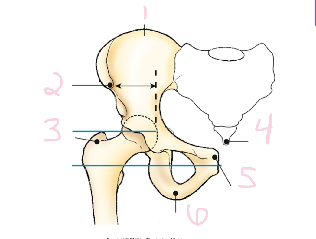 <p>What is 3?</p>