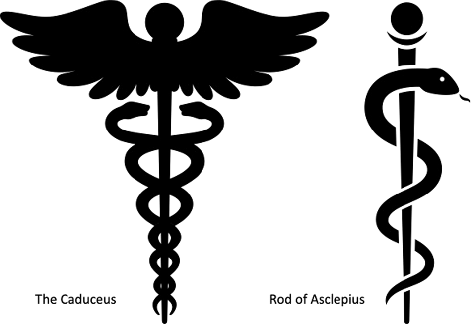 <p>The Staff of Aesculapius and the Caduceus</p>