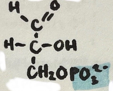 <p>name the following intermediate</p>