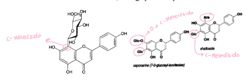 <p>O-heterósido: C3, flavanois, flavonois e C7, flavona, flavanona.</p><p>C-heterósido: C6 e C8, são raros na natureza.</p>