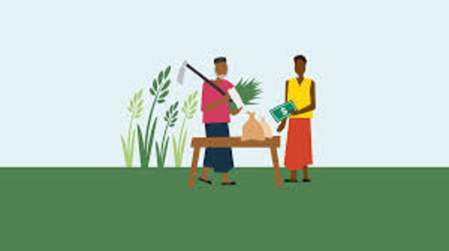 <p>Garantizar lo necesario para vivir, como comida o dinero.</p>